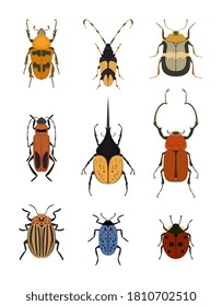 Bug icon. Pest and insect vector collection isolated on white background. Garden and orchard wildlife inhabitant. Beetle and bug icon set for control or stop sign. Entomology or bugology illustration