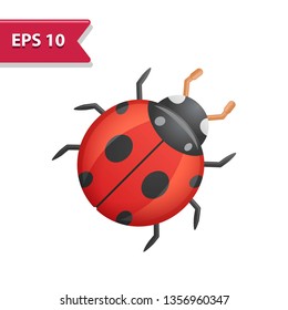 Bug Icon. Professional, pixel-aligned icon in realistic colors.