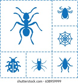 Bug icon. set of 6 bug filled icons such as beetle, ant, spider web