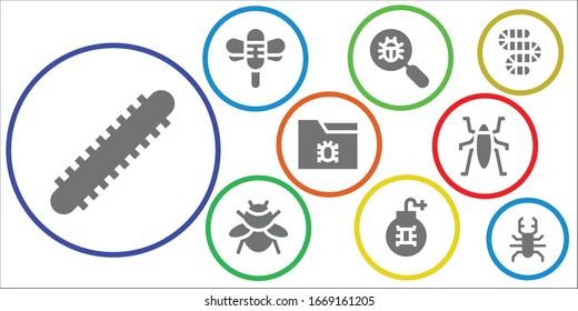bug icon set. 9 filled bug icons.  Simple modern icons such as: Centipede, Dragonfly, Virus search, Bumblebee, Virus, Insect, Worm, Beetle