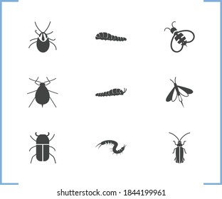 Bug icon set and firefly with aphid, giant wood wasp and caterpillar. Grub related bug icon vector for web UI logo design.