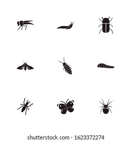 Bug icon set and pest with eyed hawk moth, robber fly and spider. Cabbage butterfly related bug icon vector for web UI logo design.