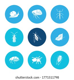 Bug icon set and tarantula with leaf butterfly, firefly and snail. Monarch related bug icon vector for web UI logo design.