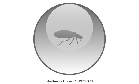 Bug icon vector design. Insects vector