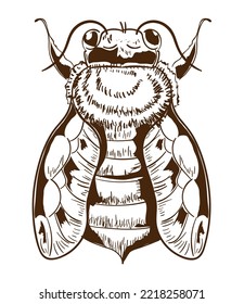 bug icon vector white background
