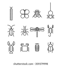 Bug icons isolated on white background / Arthropods icons / Vector icons