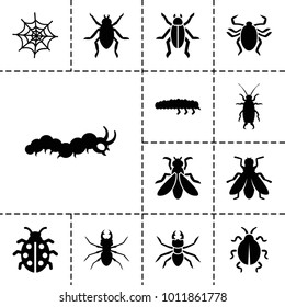 Bug Icons Set 13 Editable Filled Stock Vector (Royalty Free) 1011861778 ...