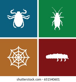 Bug icons set. set of 4 bug filled icons such as beetle, spider web