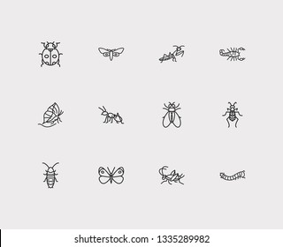 Bug icons set. Ant and bug icons with fly, cricket and monarch. Set of locust for web app logo UI design.