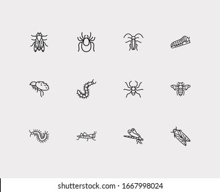 Bug icons set. Bee and bug icons with pest, flea and centipede. Set of exterminator for web app logo UI design.