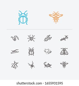 Bug icons set. Cricket and bug icons with black widow spider, stag beetle and stickbug. Set of arachnophobia for web app logo UI design.