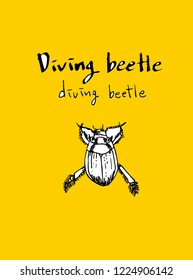 Bug illustration / Hand drawn insect sketch