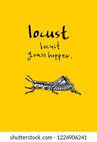 Bug illustration / Hand drawn insect sketch