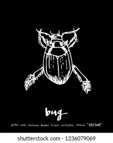 Bug illustration / Hand drawn insect sketch