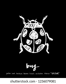 Bug illustration / Hand drawn insect sketch