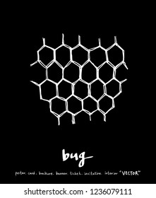 Bug illustration / Hand drawn insect sketch