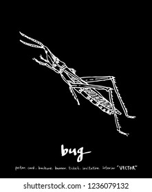 Bug illustration / Hand drawn insect sketch
