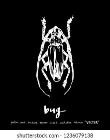 Bug illustration / Hand drawn insect sketch