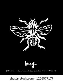 Bug illustration / Hand drawn insect sketch