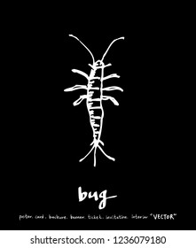 Bug illustration / Hand drawn insect sketch