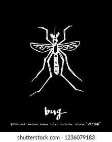 Bug illustration / Hand drawn insect sketch