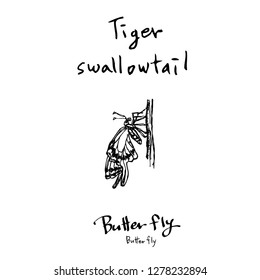 Bug illustration / Hand drawn insect sketch