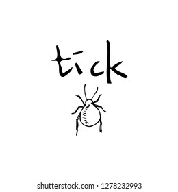 Bug illustration / Hand drawn insect sketch