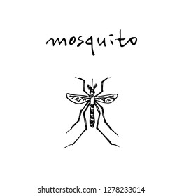 Bug illustration / Hand drawn insect sketch