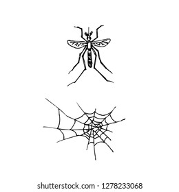 Bug illustration / Hand drawn insect sketch