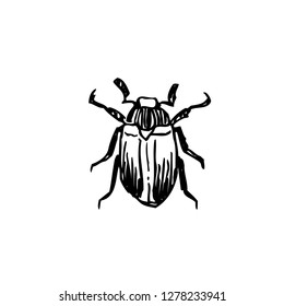 Bug illustration / Hand drawn insect sketch