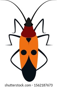 Bug, illustration, vector on white background.