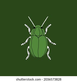Bug illustration. Vector on white background