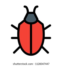 Bug or Insect