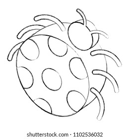 bug insect animal isometric image