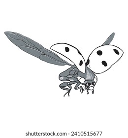 Carácter de insecto de error 18 vector de esbozo aislado en blanco