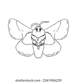 Bug insect character sketch 13, vector outline isolated.
