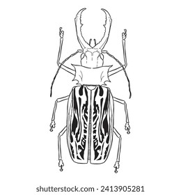 Esbozo de caracteres de insectos de fallos 23 vector aislado