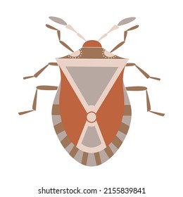 Bug insect. Decorative design in earth natural colors. Geometric insect vector illustration in flat style