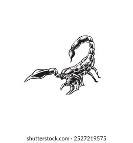 bug or insect detailef drawing vector