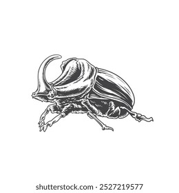 bug or insect detailef drawing vector