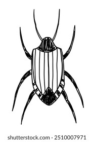 Bug insect in hand drawn doodle style on transparent background