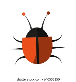 bug insect icon image 