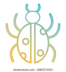 bug insect isolated icon