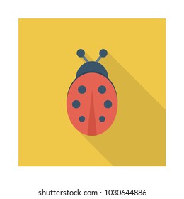  bug insect lady bird 