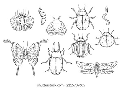 Bug and insect outline for halloween potion