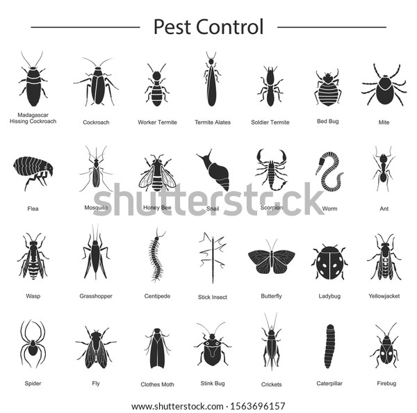 Bug of insect pest control vector black set\
icon.Vector illustration insect beetle. Isolated black icon pest of\
bug and fly beetle.