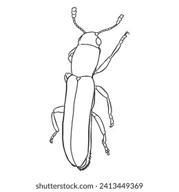 Bug insect sketch 20 vector outline isolated