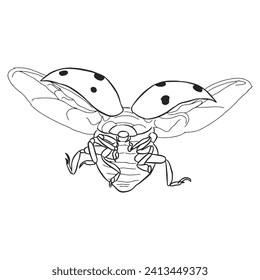 Bug insect sketch 22 vector isolated