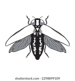 Bug Insect Sketch 5. Vector isolated on white background.