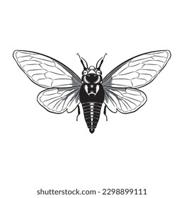 Bug Insect Sketch 6. Vector isolated on white.